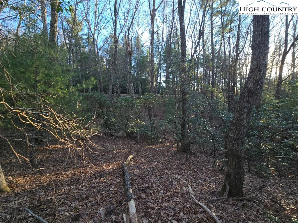 Image number 4 for the current listing