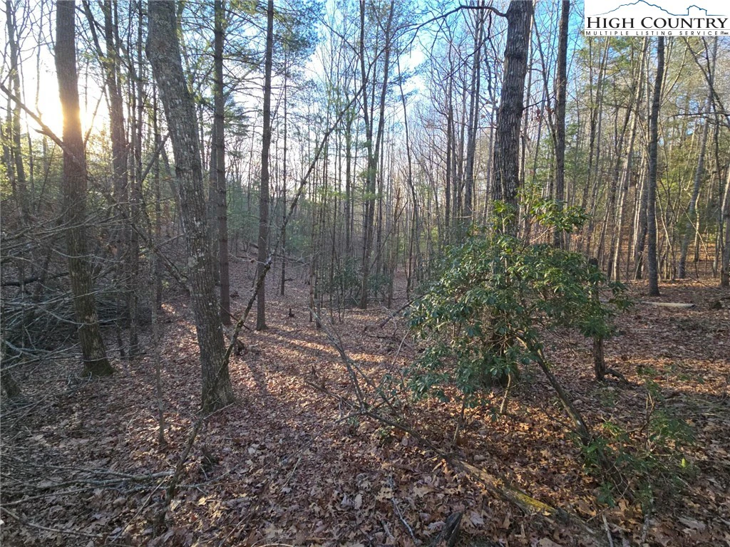 Image number 5 for the current listing