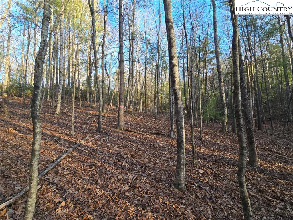 Image number 6 for the current listing