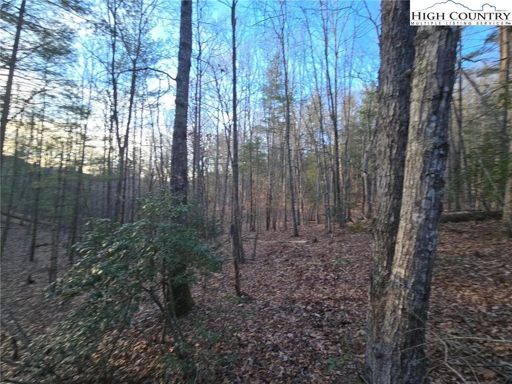 Image number 7 for the current listing