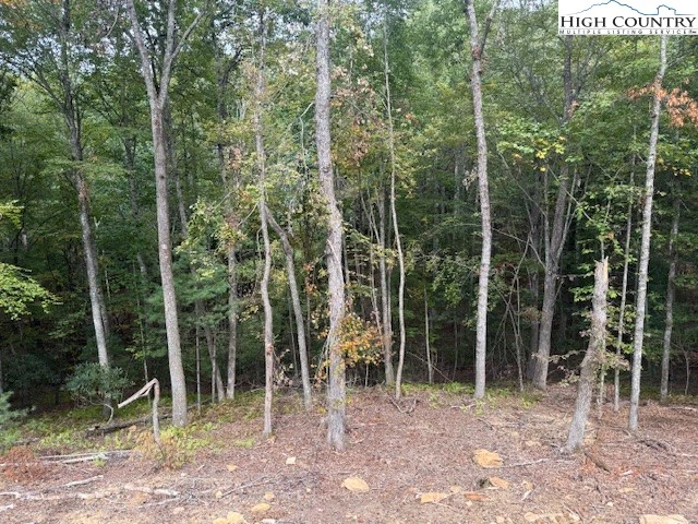 Image number 7 for the current listing