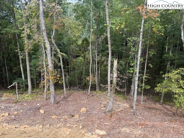 Image number 6 for the current listing