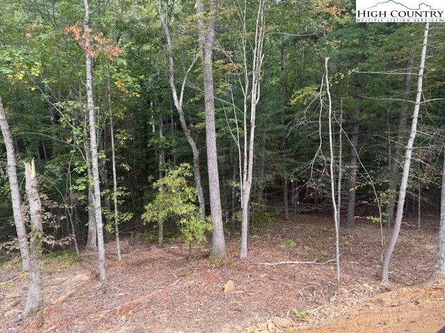 Image number 5 for the current listing