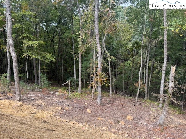 Image number 4 for the current listing