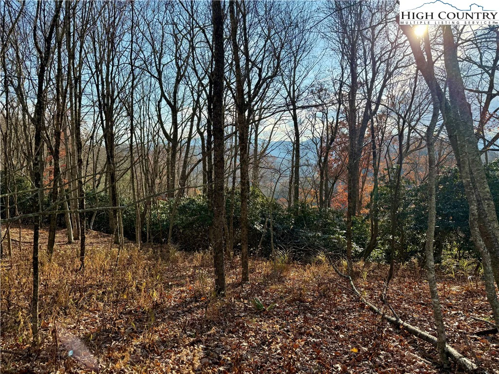 Image number 6 for the current listing