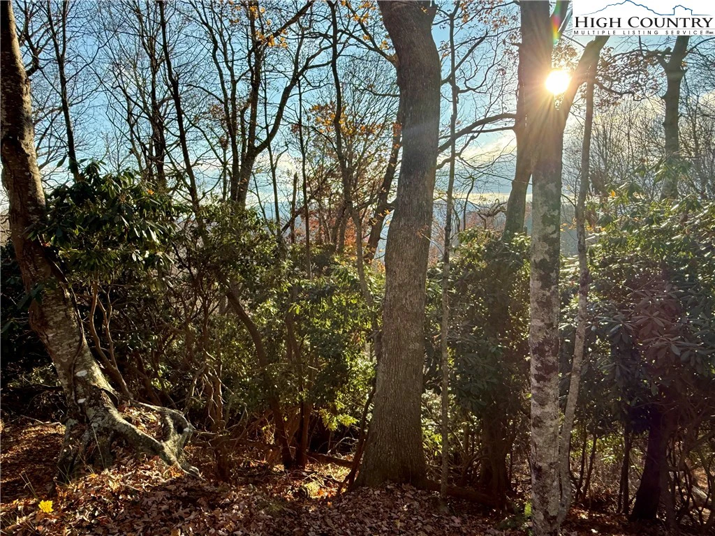 Image number 1 for the current listing