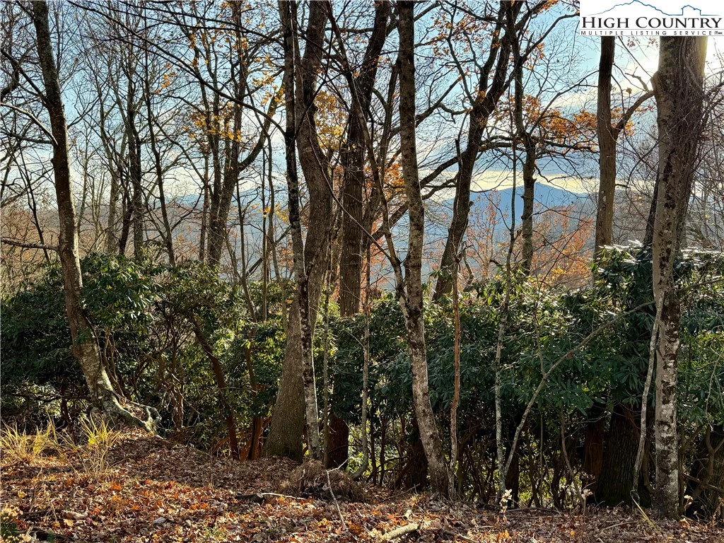 Image number 21 for the current listing
