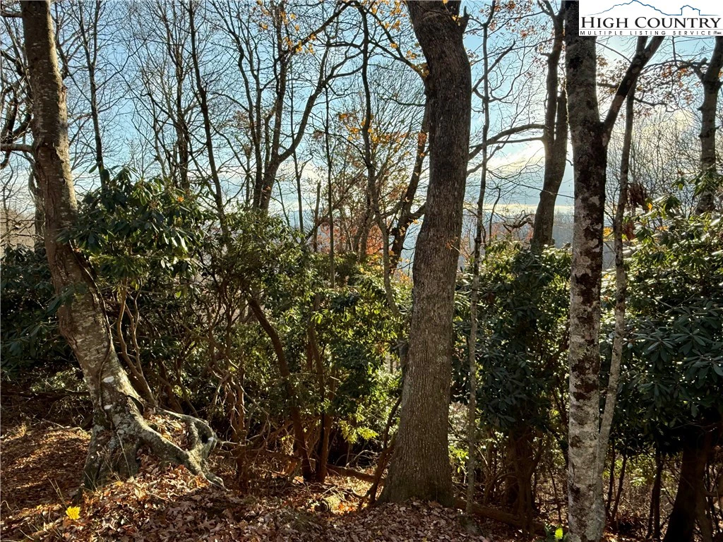 Image number 4 for the current listing