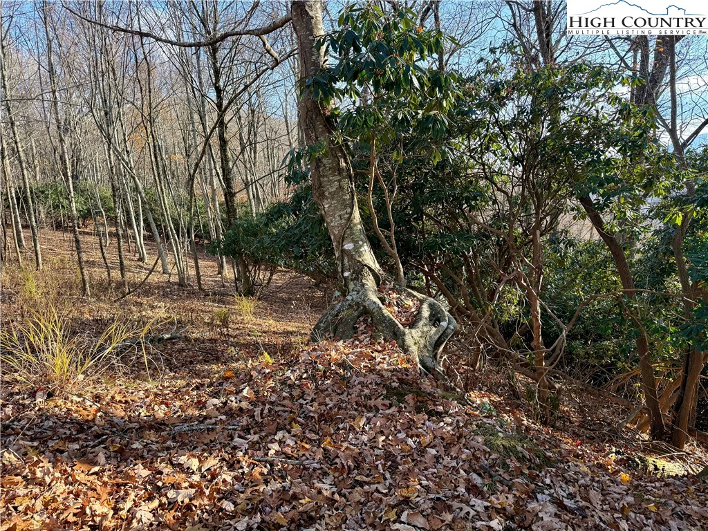 Image number 2 for the current listing