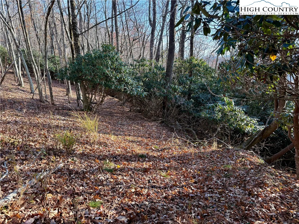 Image number 19 for the current listing