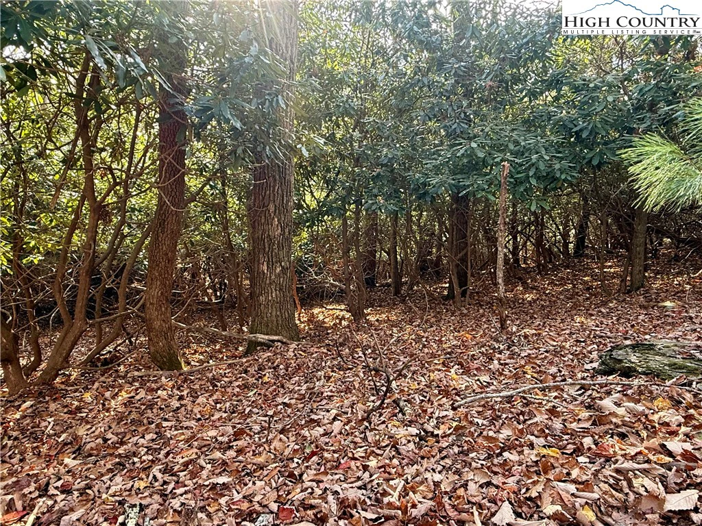Image number 13 for the current listing