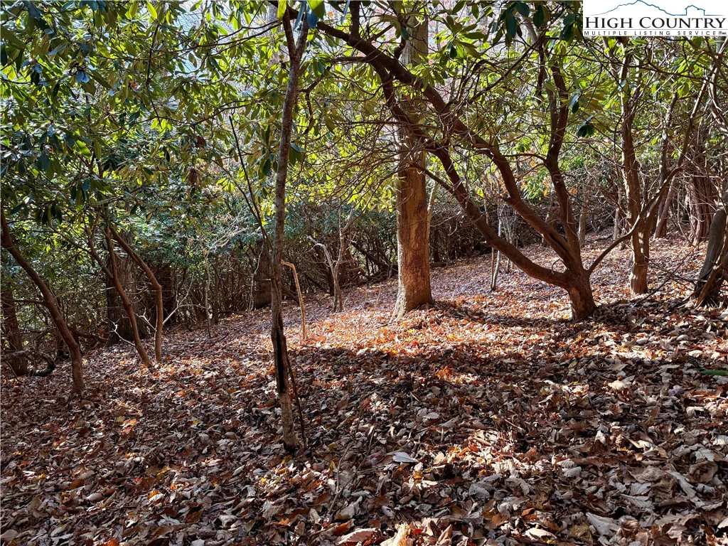 Image number 14 for the current listing