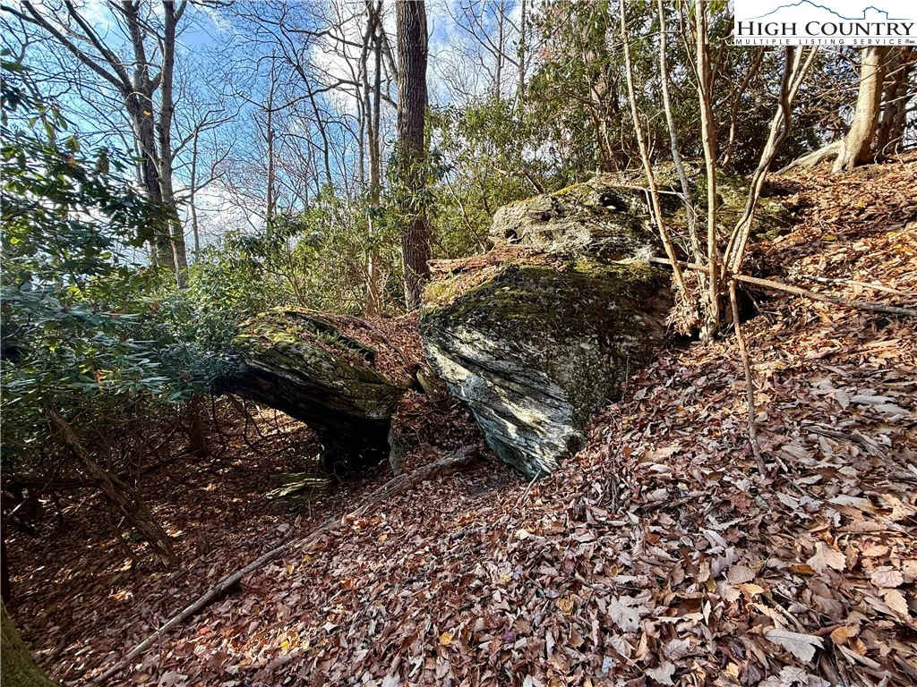 Image number 12 for the current listing