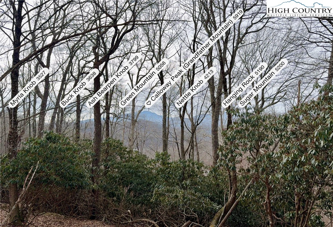 Image number 3 for the current listing