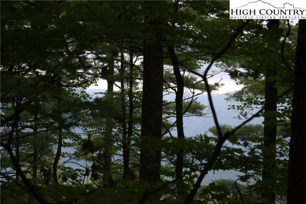 Image number 1 for the current listing