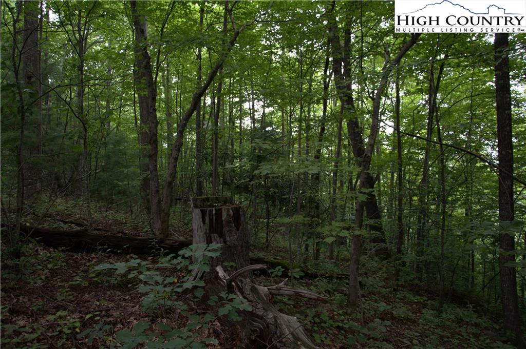 Image number 11 for the current listing