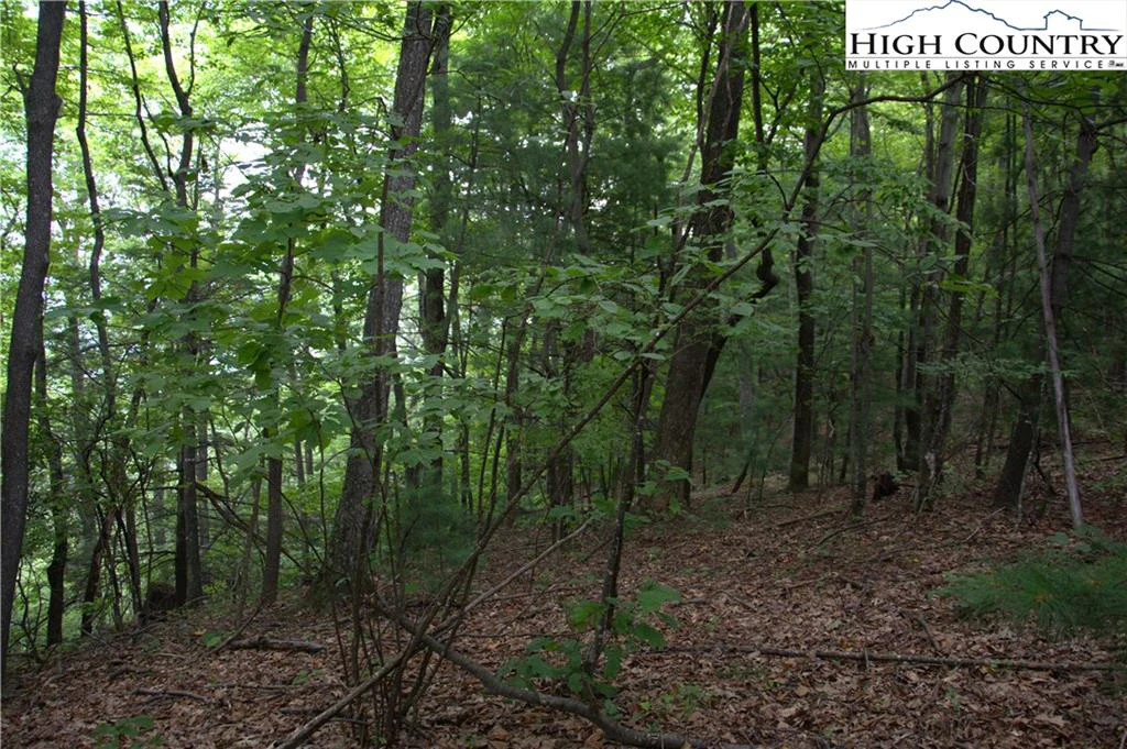 Image number 14 for the current listing