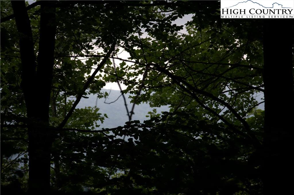Image number 15 for the current listing