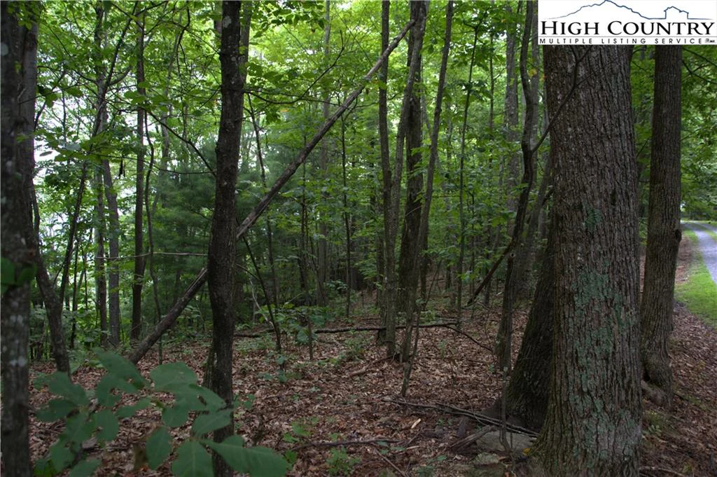 Image number 16 for the current listing
