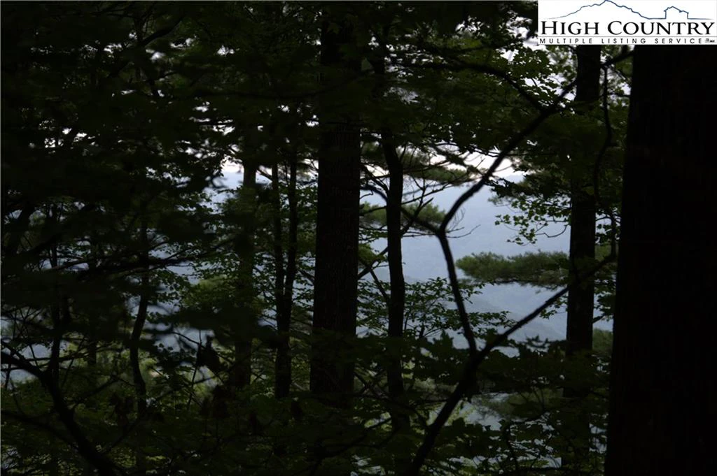 Image number 3 for the current listing