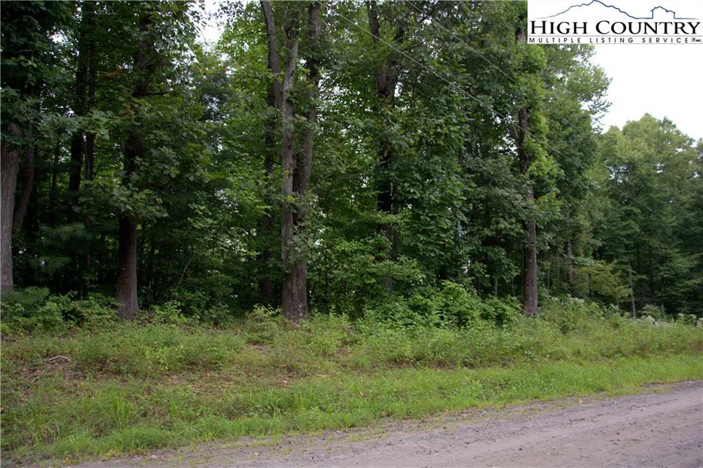 Image number 5 for the current listing