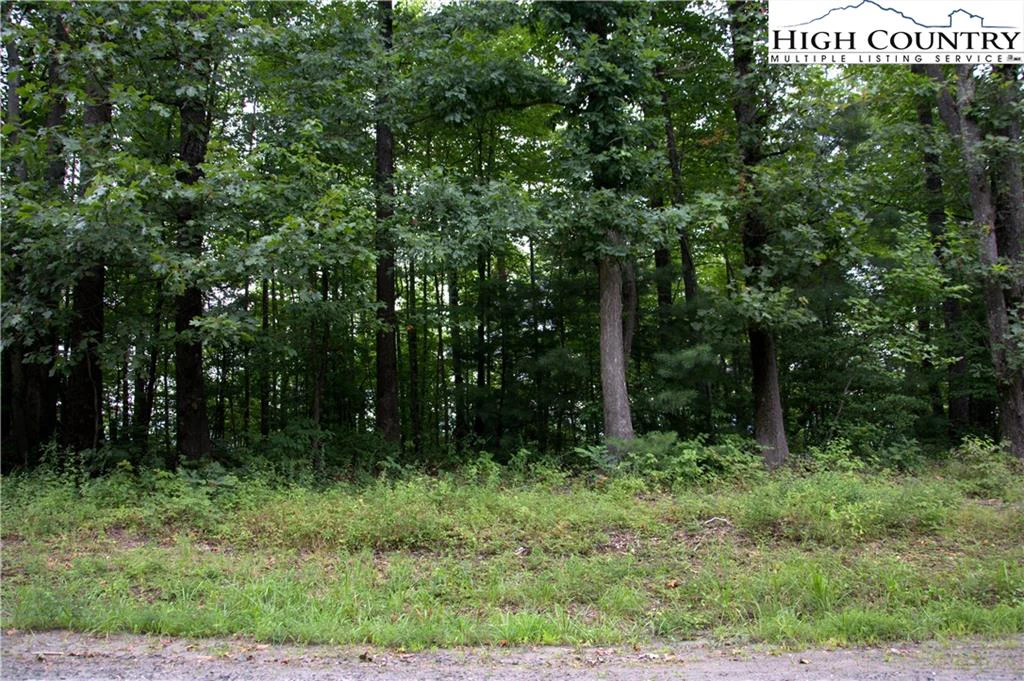 Image number 6 for the current listing