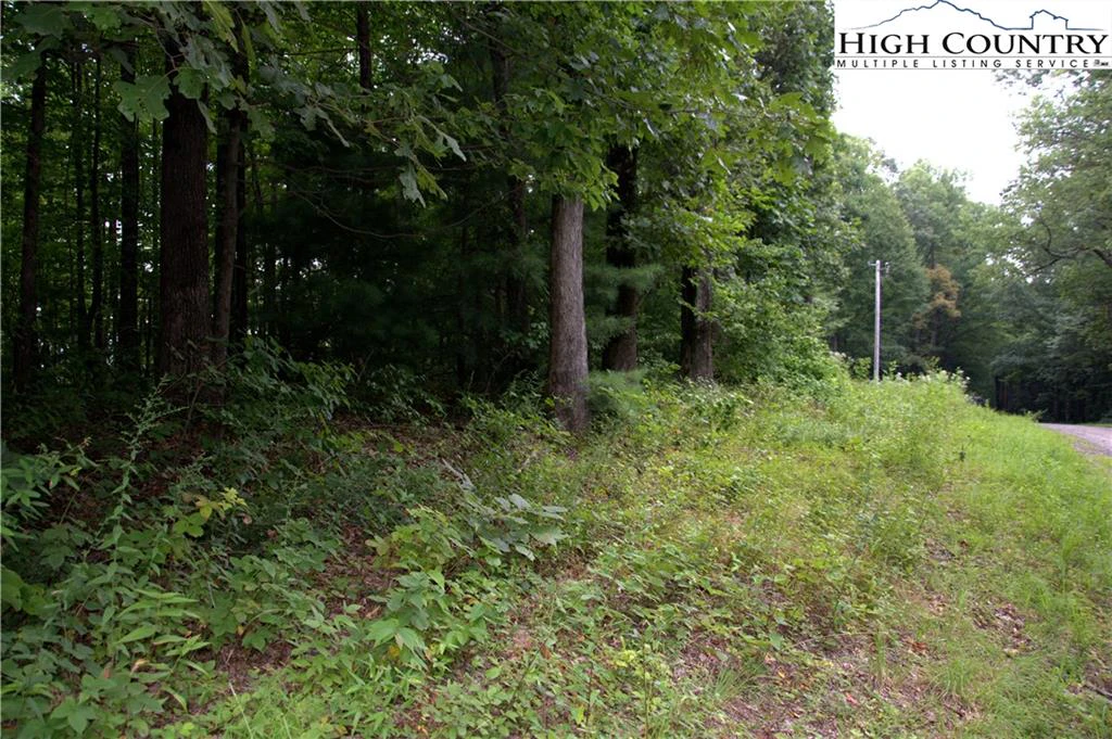 Image number 7 for the current listing