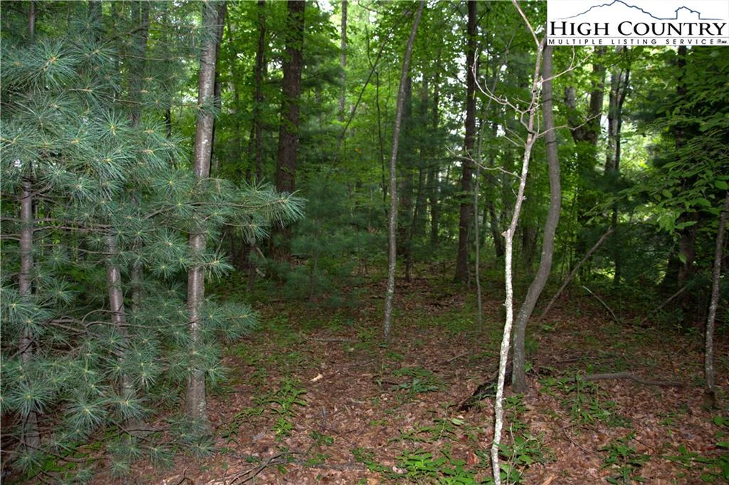 Image number 9 for the current listing