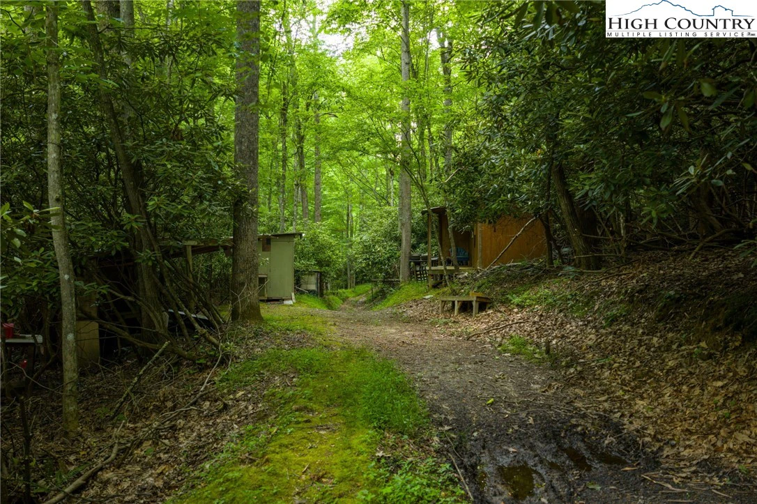 Image number 5 for the current listing