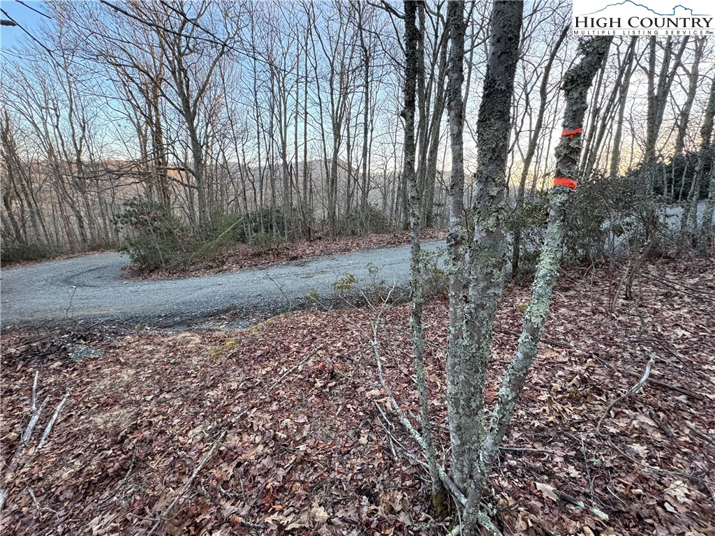 Image number 11 for the current listing