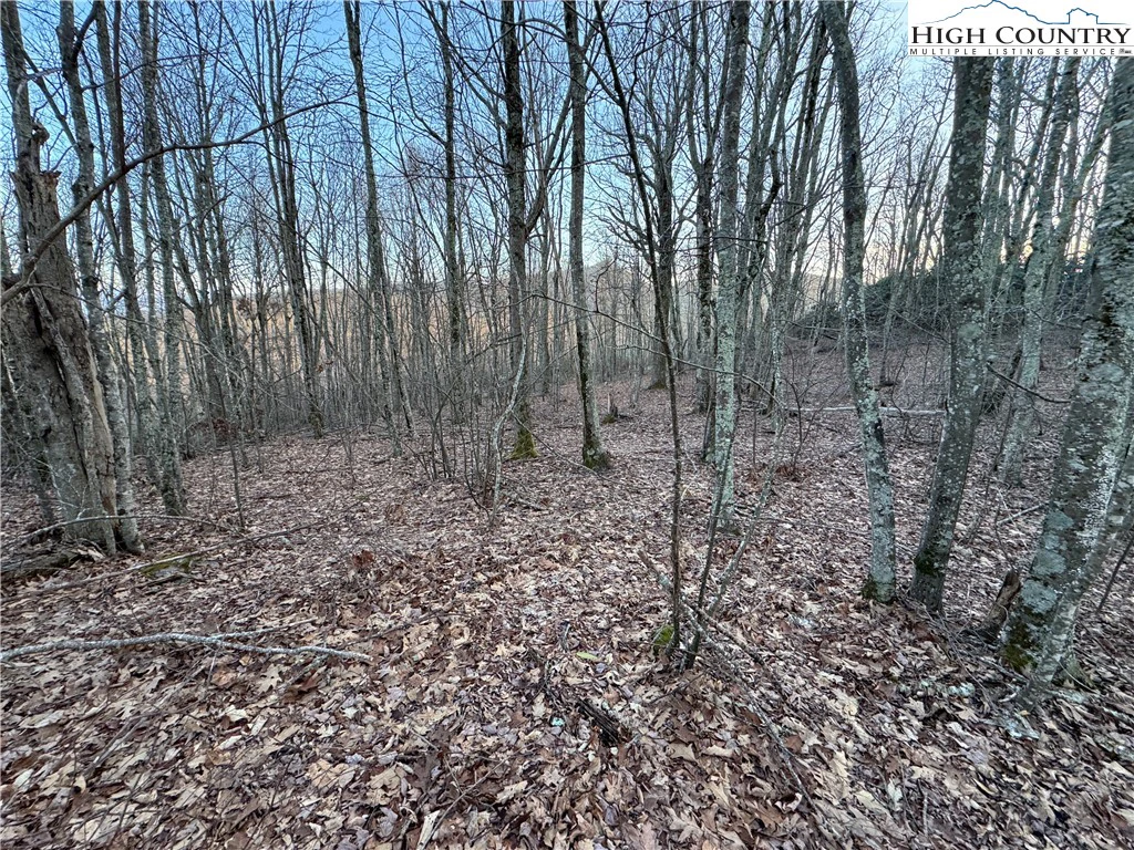 Image number 10 for the current listing