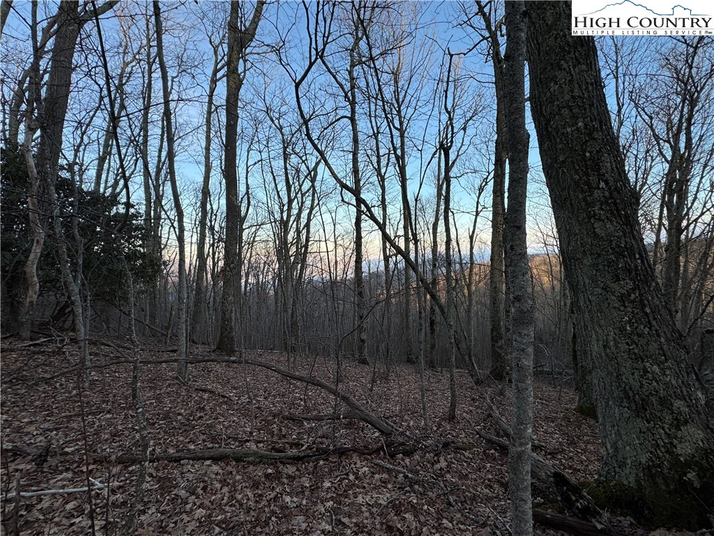 Image number 9 for the current listing