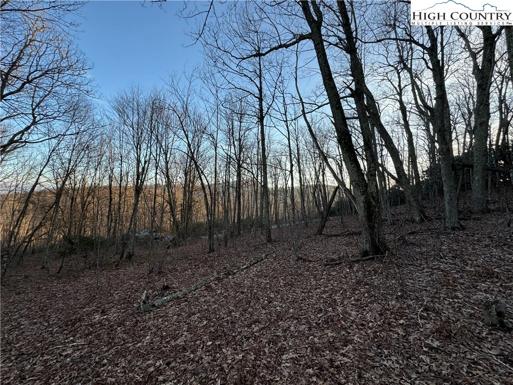 Image number 8 for the current listing