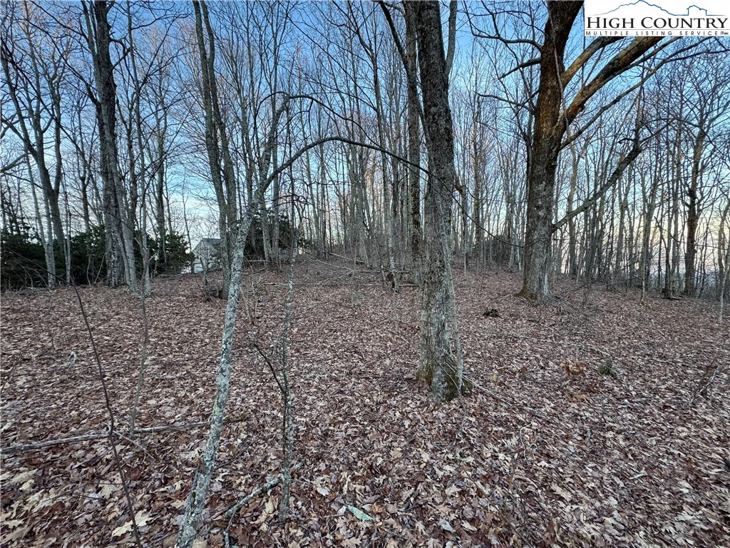 Image number 19 for the current listing