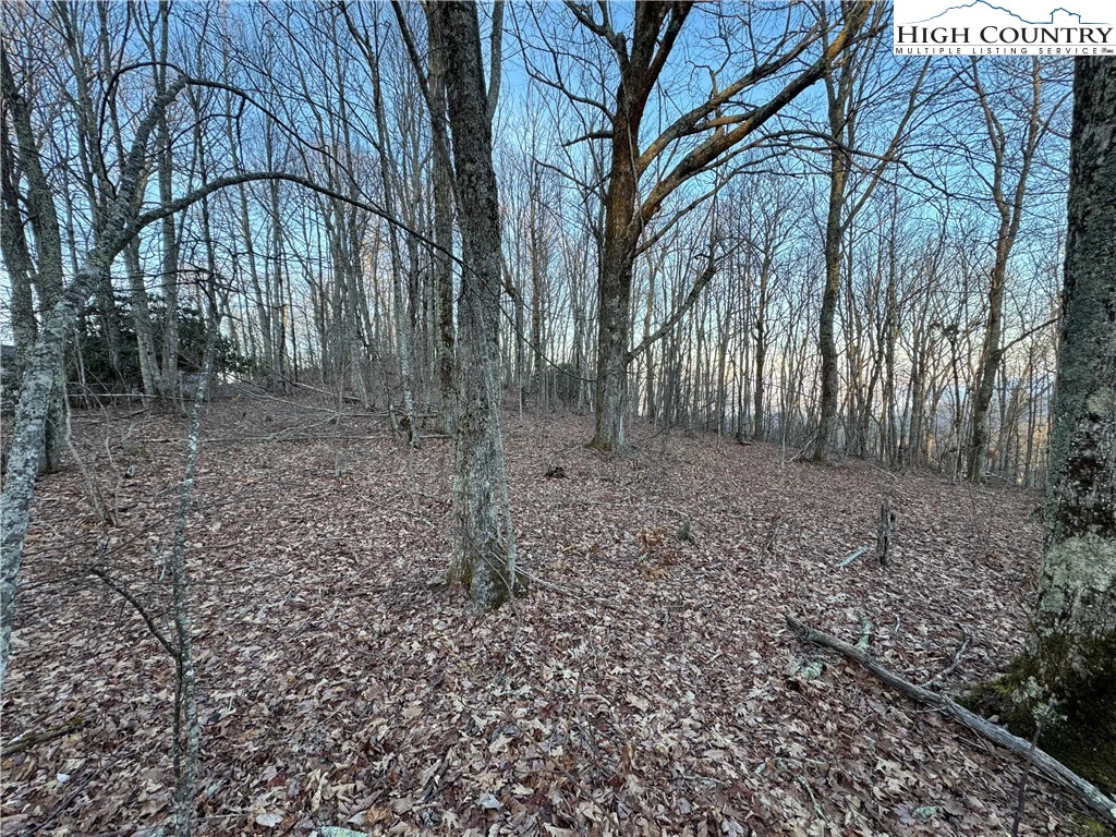 Image number 7 for the current listing