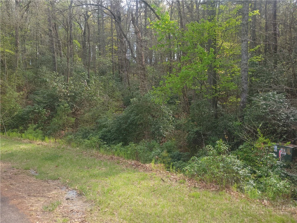 Image number 2 for the current listing