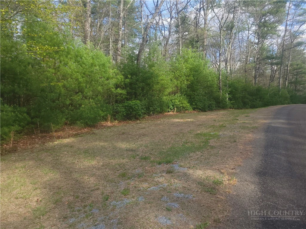 Image number 3 for the current listing