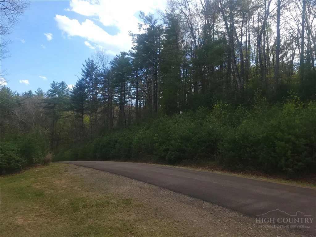Image number 4 for the current listing