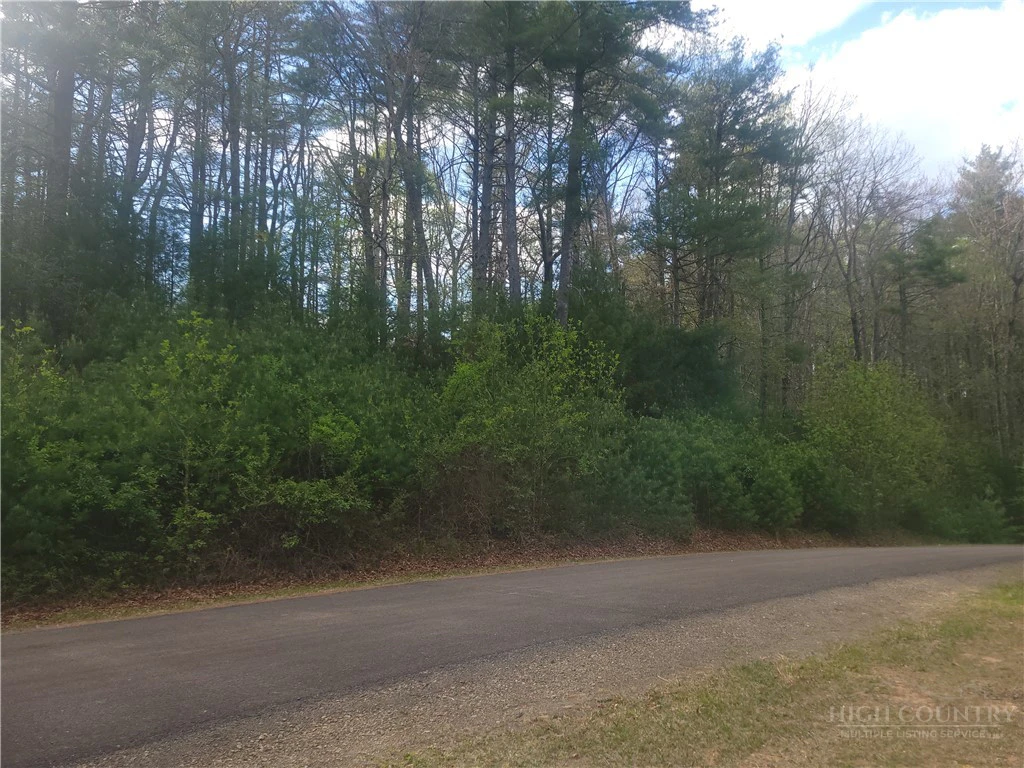 Image number 5 for the current listing