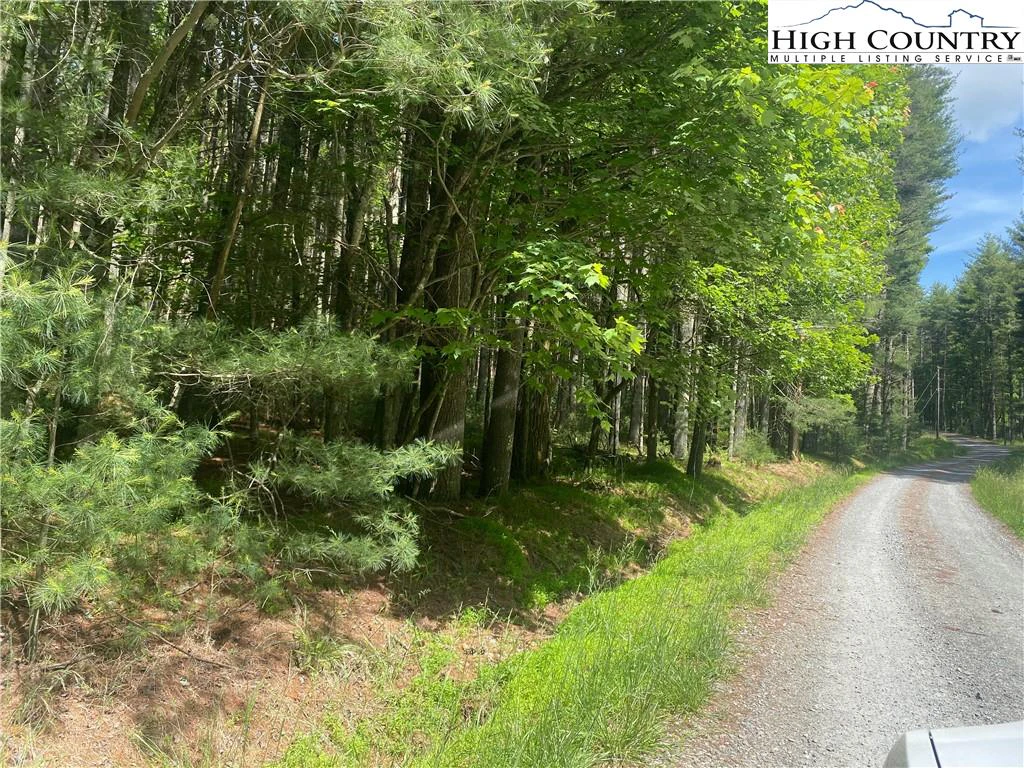 Image number 1 for the current listing