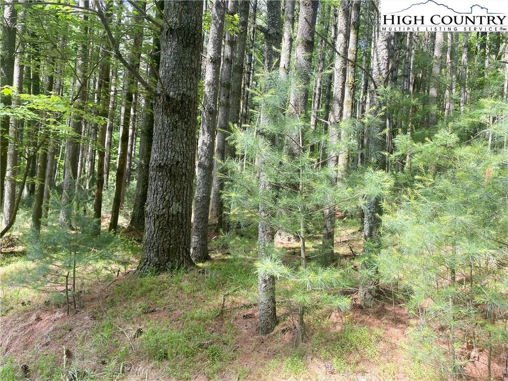 Image number 9 for the current listing