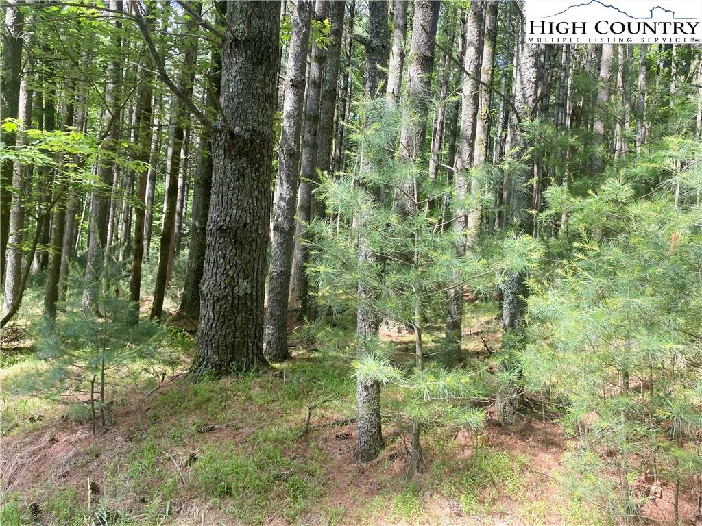 Image number 8 for the current listing