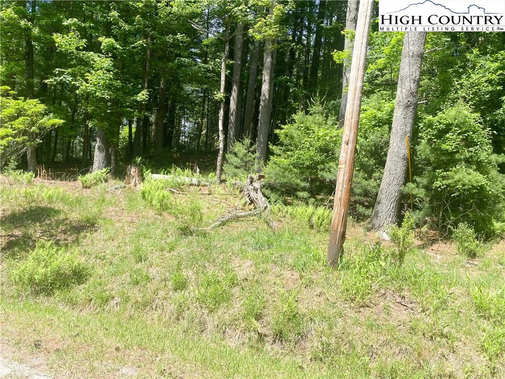 Image number 18 for the current listing