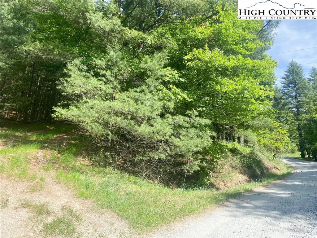 Image number 17 for the current listing