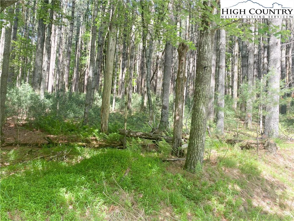 Image number 14 for the current listing