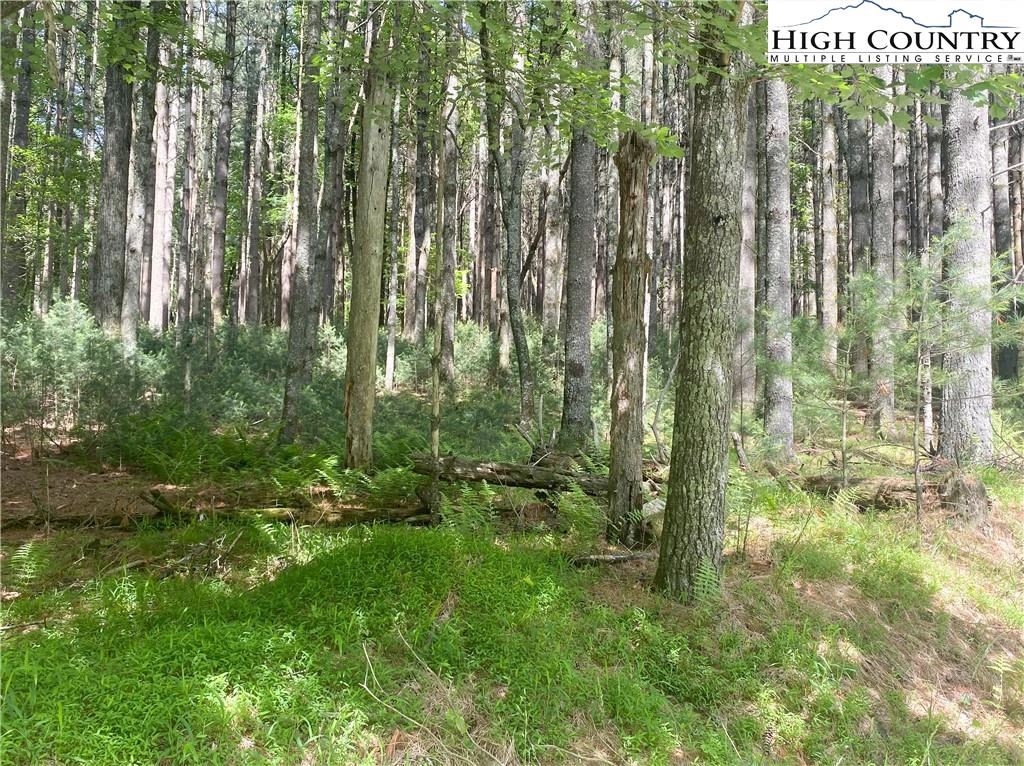 Image number 13 for the current listing