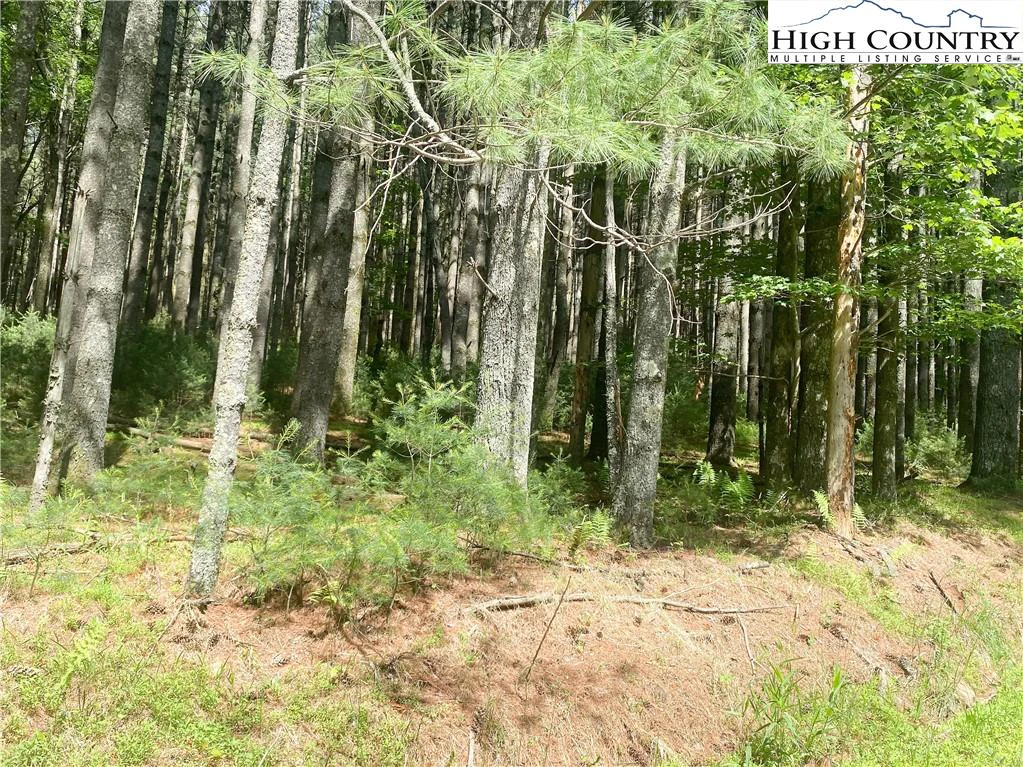 Image number 12 for the current listing