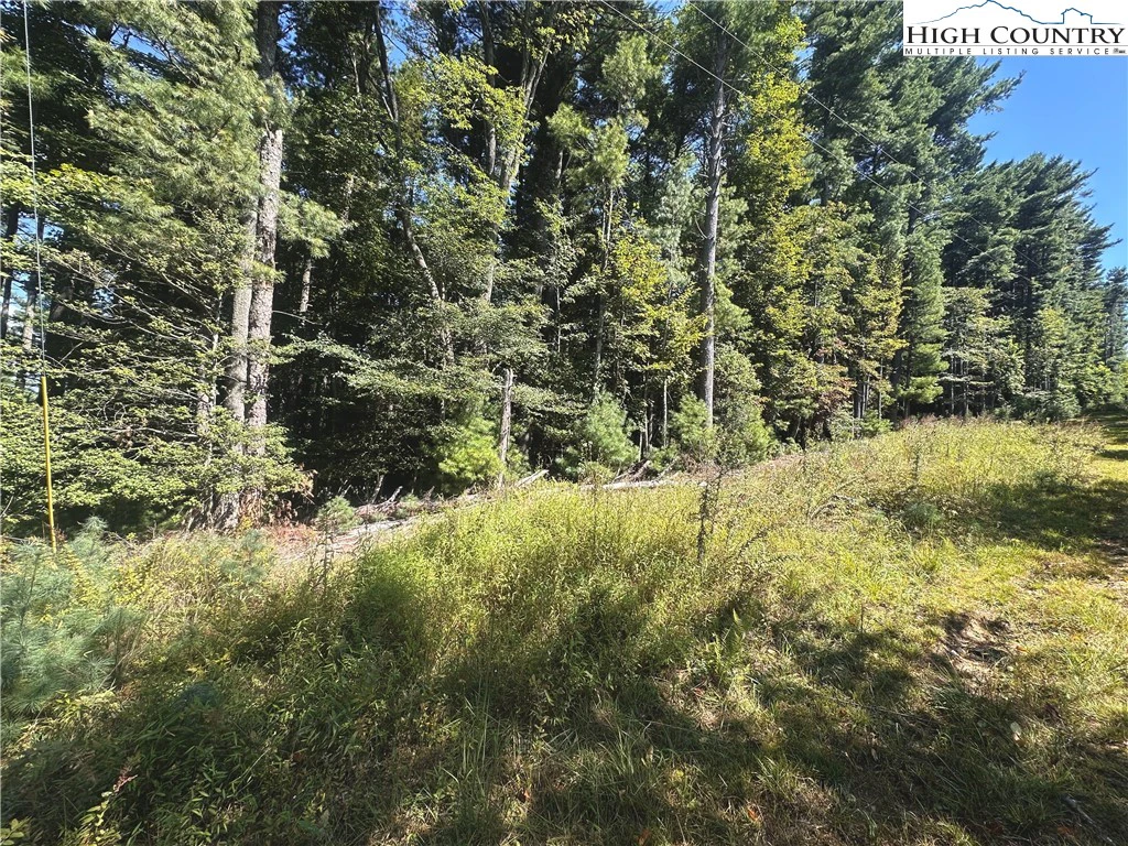 Image number 1 for the current listing