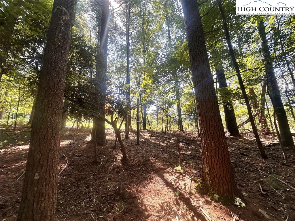 Image number 3 for the current listing