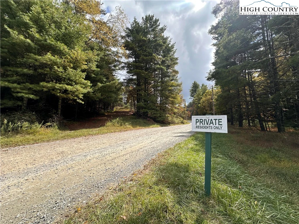 Image number 5 for the current listing